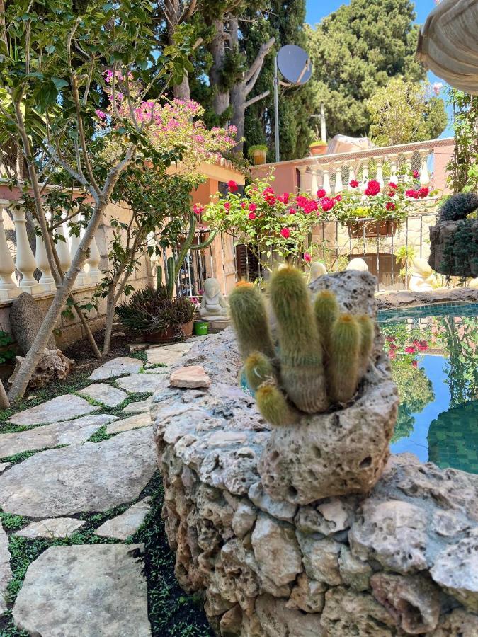 B&B Villa Regina Санта Доменика Екстериор снимка