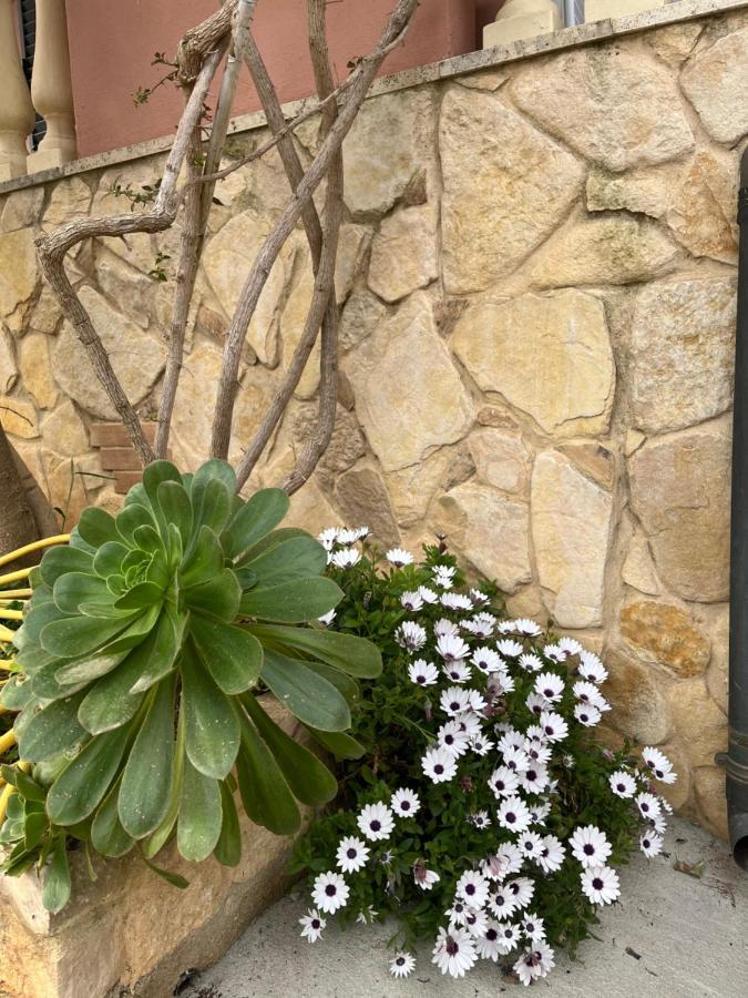 B&B Villa Regina Санта Доменика Екстериор снимка